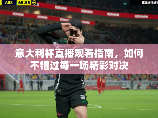 意大利杯直播观看指南，如何不错过每一场精彩对决