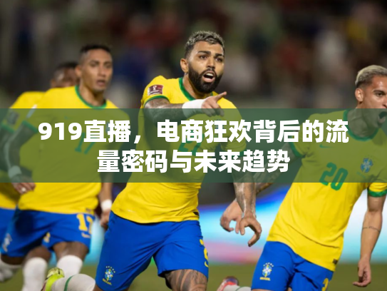 919直播，电商狂欢背后的流量密码与未来趋势