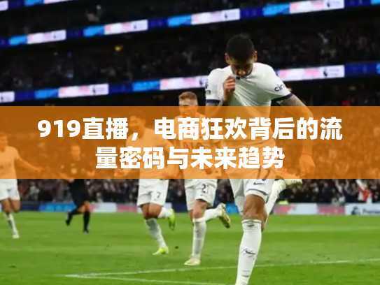 919直播，电商狂欢背后的流量密码与未来趋势