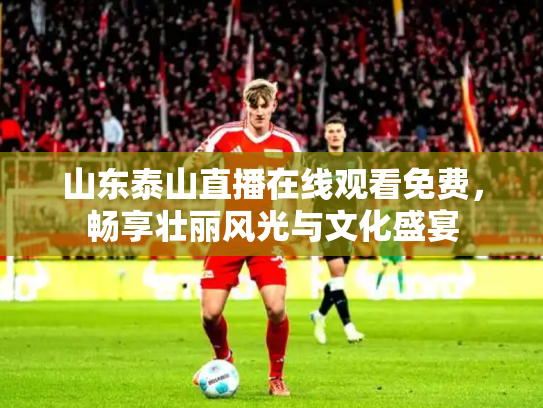 山东泰山直播在线观看免费，畅享壮丽风光与文化盛宴
