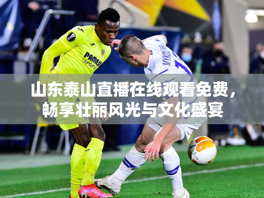 山东泰山直播在线观看免费，畅享壮丽风光与文化盛宴