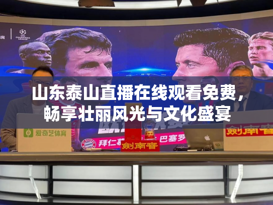 山东泰山直播在线观看免费，畅享壮丽风光与文化盛宴