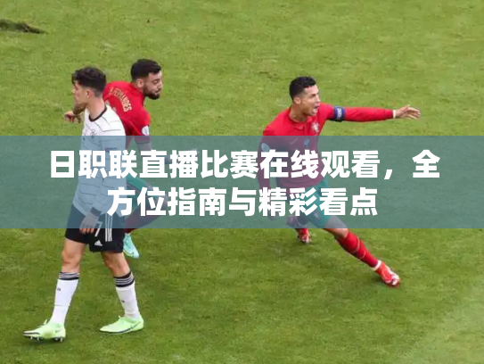 日职联直播比赛在线观看，全方位指南与精彩看点