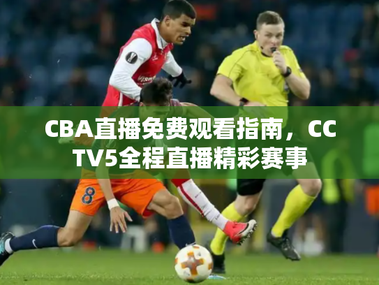 CBA直播免费观看指南，CCTV5全程直播精彩赛事