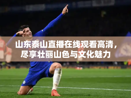 山东泰山直播在线观看高清，尽享壮丽山色与文化魅力