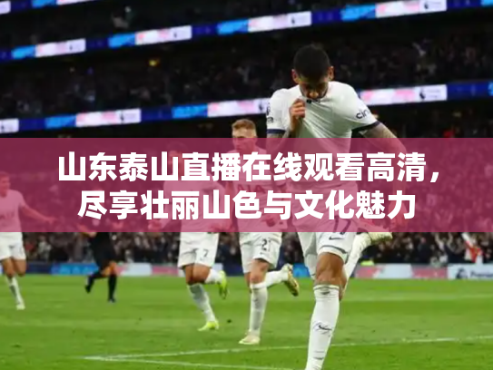 山东泰山直播在线观看高清，尽享壮丽山色与文化魅力