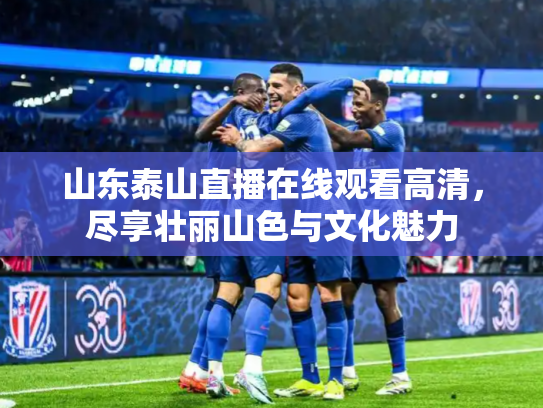 山东泰山直播在线观看高清，尽享壮丽山色与文化魅力