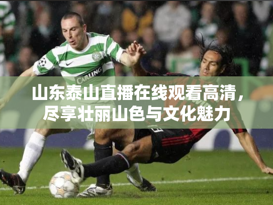 山东泰山直播在线观看高清，尽享壮丽山色与文化魅力