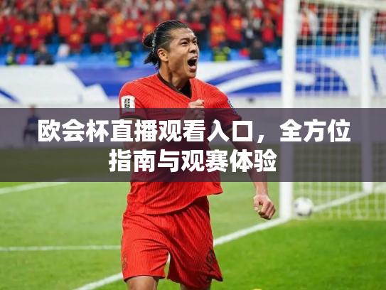 欧会杯直播观看入口，全方位指南与观赛体验