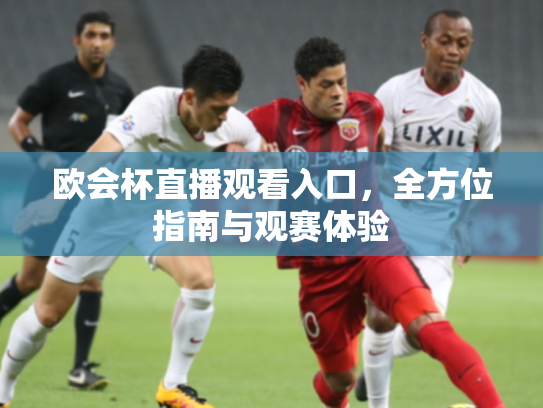 欧会杯直播观看入口，全方位指南与观赛体验