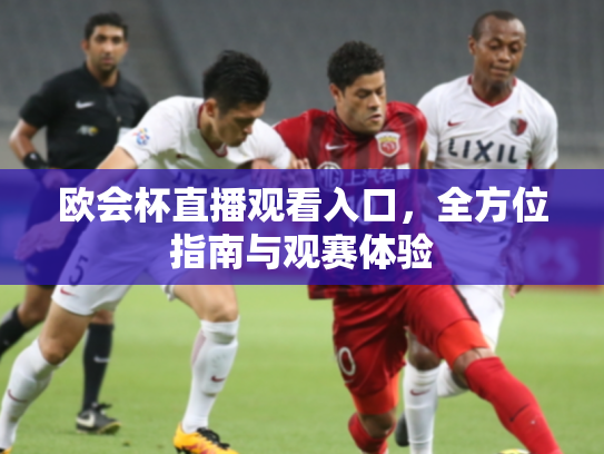 欧会杯直播观看入口，全方位指南与观赛体验