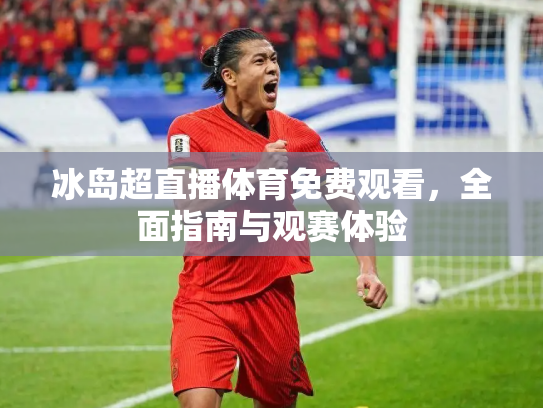 冰岛超直播体育免费观看，全面指南与观赛体验