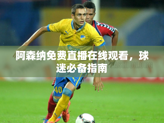 阿森纳免费直播在线观看，球迷必备指南