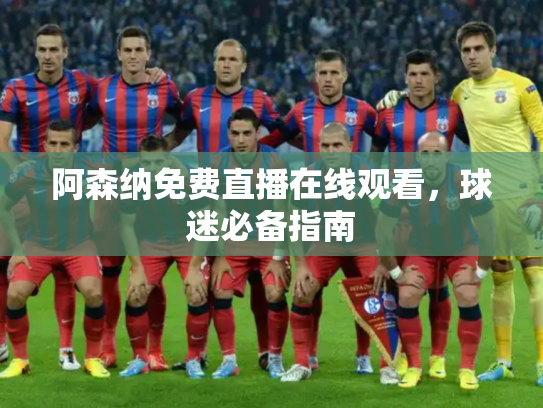 阿森纳免费直播在线观看，球迷必备指南