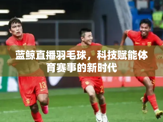 蓝鲸直播羽毛球，科技赋能体育赛事的新时代