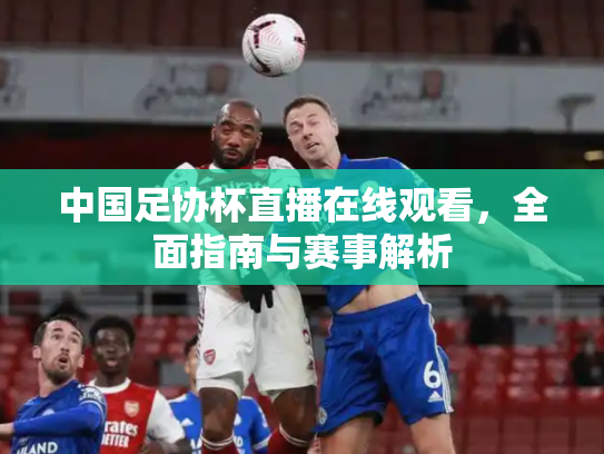 中国足协杯直播在线观看，全面指南与赛事解析