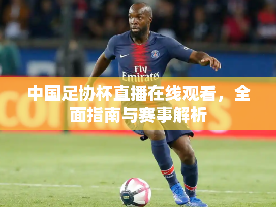 中国足协杯直播在线观看，全面指南与赛事解析