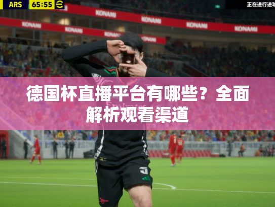 德国杯直播平台有哪些？全面解析观看渠道