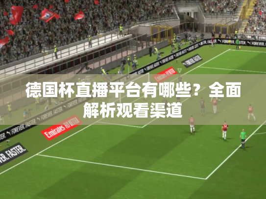 德国杯直播平台有哪些？全面解析观看渠道