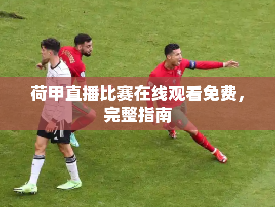 荷甲直播比赛在线观看免费，完整指南