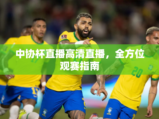 中协杯直播高清直播，全方位观赛指南