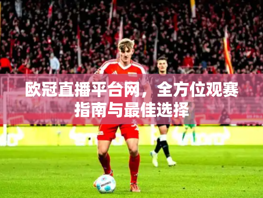 欧冠直播平台网，全方位观赛指南与最佳选择