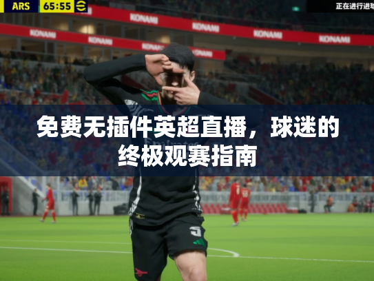 免费无插件英超直播，球迷的终极观赛指南