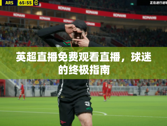 英超直播免费观看直播，球迷的终极指南