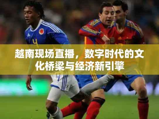 越南现场直播，数字时代的文化桥梁与经济新引擎