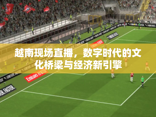 越南现场直播，数字时代的文化桥梁与经济新引擎