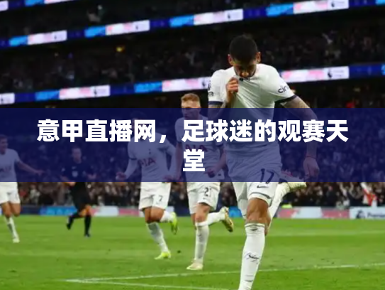 意甲直播网，足球迷的观赛天堂