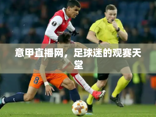 意甲直播网，足球迷的观赛天堂