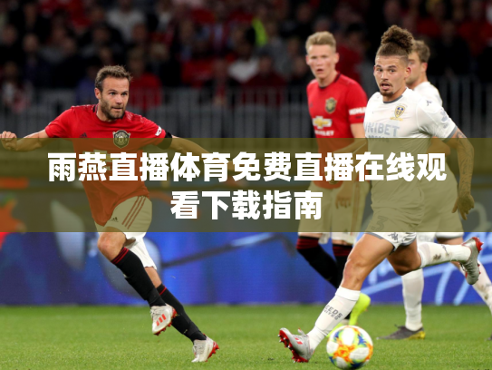 雨燕直播体育免费直播在线观看下载指南