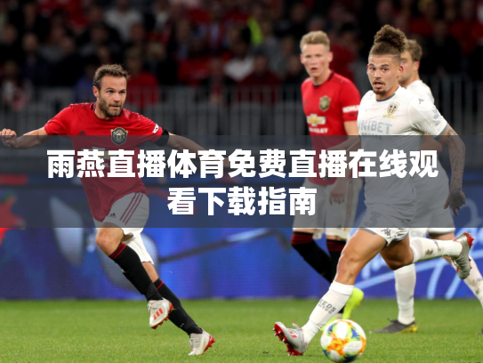 雨燕直播体育免费直播在线观看下载指南
