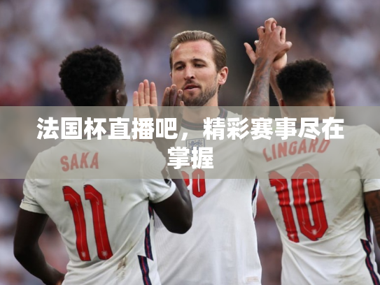 法国杯直播吧，精彩赛事尽在掌握