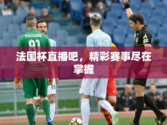 法国杯直播吧，精彩赛事尽在掌握