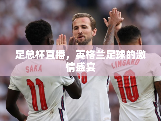 足总杯直播，英格兰足球的激情盛宴