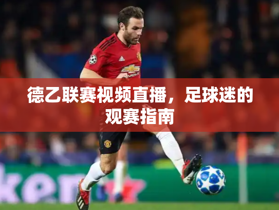 德乙联赛视频直播，足球迷的观赛指南