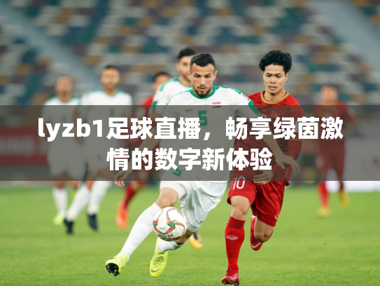 lyzb1足球直播，畅享绿茵激情的数字新体验