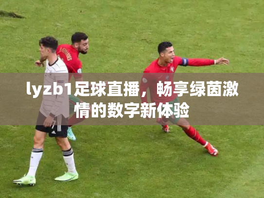lyzb1足球直播，畅享绿茵激情的数字新体验