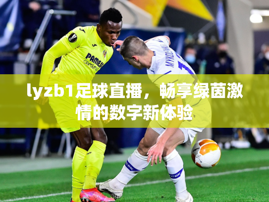 lyzb1足球直播，畅享绿茵激情的数字新体验
