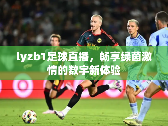 lyzb1足球直播，畅享绿茵激情的数字新体验