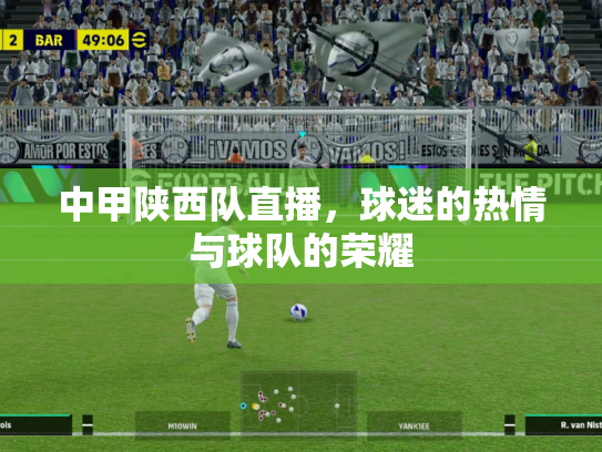 中甲陕西队直播，球迷的热情与球队的荣耀