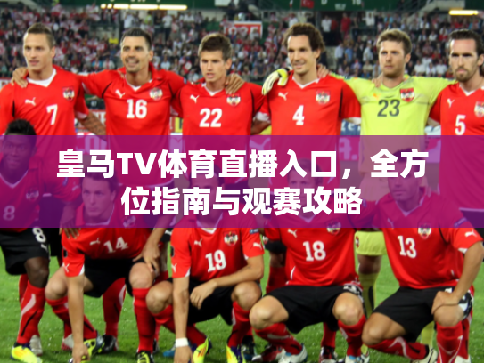 皇马TV体育直播入口，全方位指南与观赛攻略