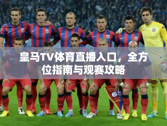 皇马TV体育直播入口，全方位指南与观赛攻略