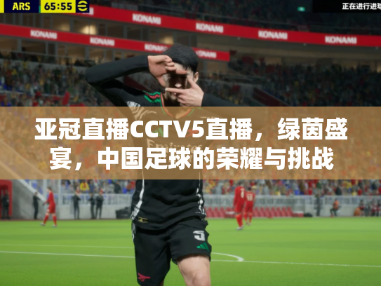 亚冠直播CCTV5直播，绿茵盛宴，中国足球的荣耀与挑战