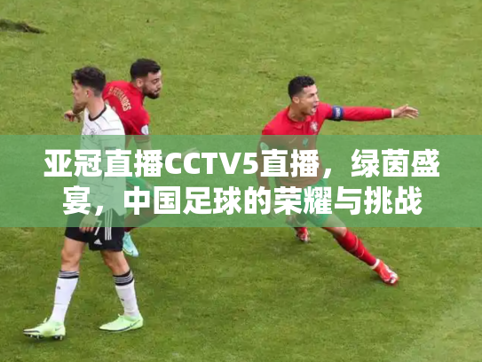 亚冠直播CCTV5直播，绿茵盛宴，中国足球的荣耀与挑战