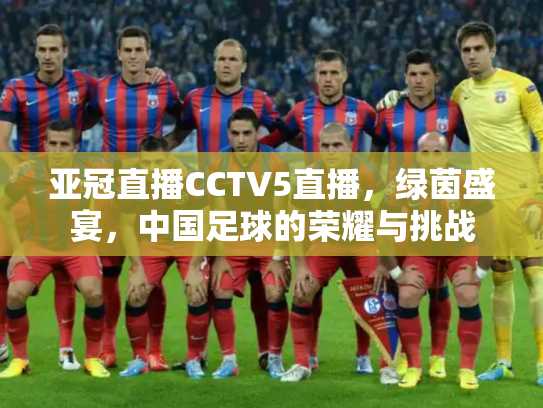 亚冠直播CCTV5直播，绿茵盛宴，中国足球的荣耀与挑战