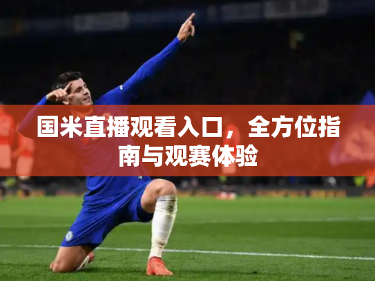 国米直播观看入口，全方位指南与观赛体验
