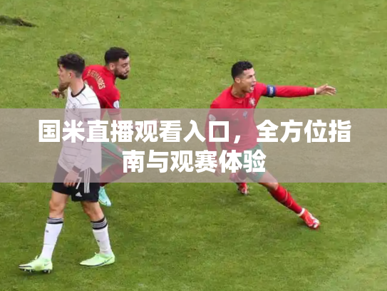 国米直播观看入口，全方位指南与观赛体验